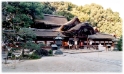 Temple 6, Kyoto Japan